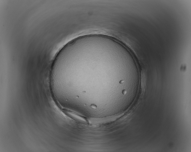 X0000111521500200907281326