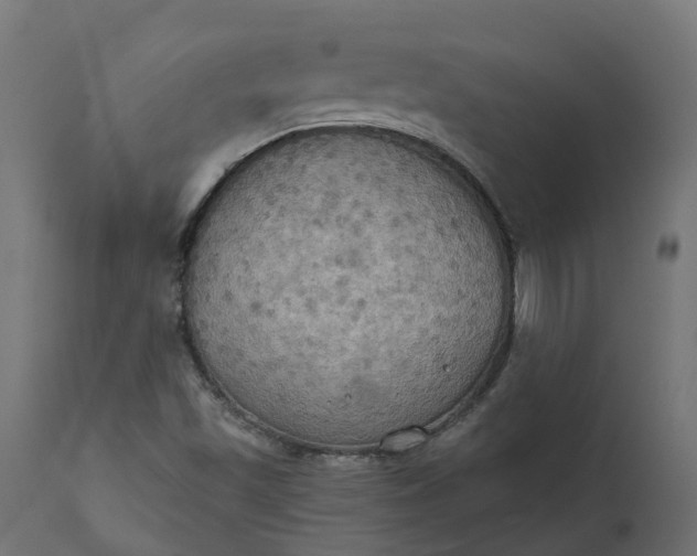 X0000111521501200907281326