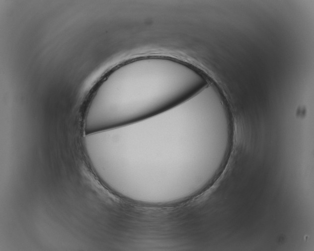 X0000111521502200907281326
