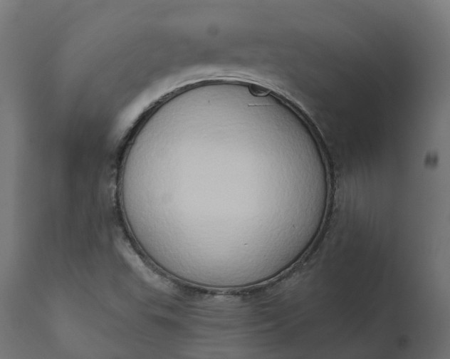 X0000111521503200907281326