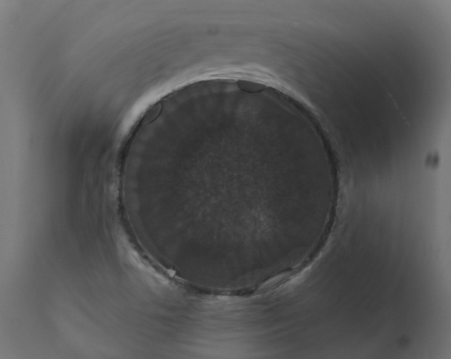 X0000111521506200907281326