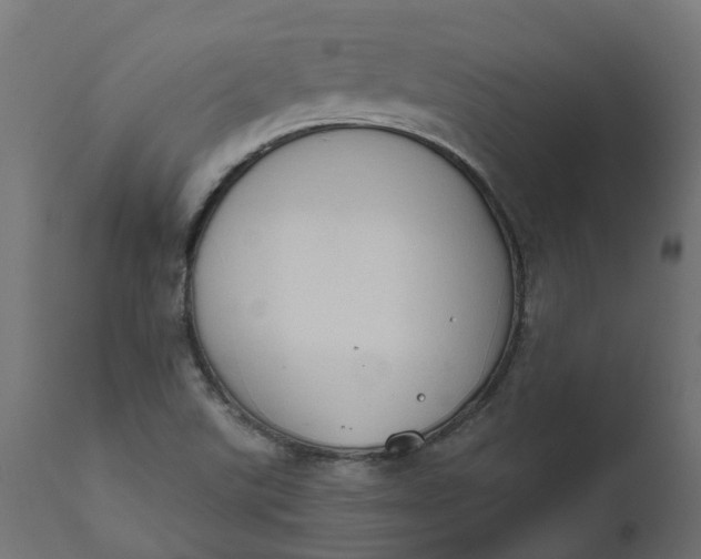 X0000111521507200907281326