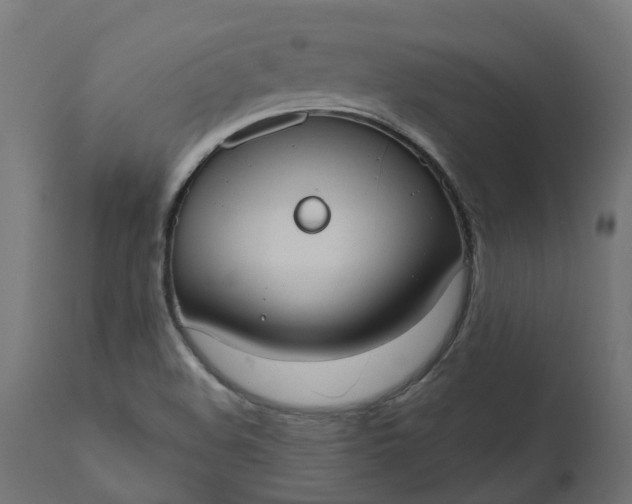 X0000111521508200907281326
