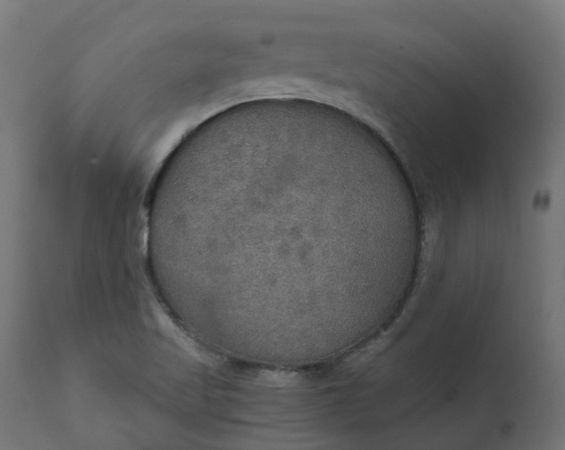 X0000111521509200907281326