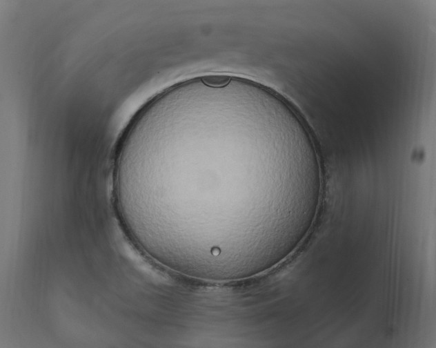 X0000111521511200907281326