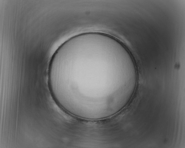 X0000111521512200907281326