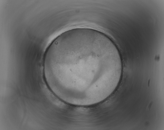 X0000111521514200907281326