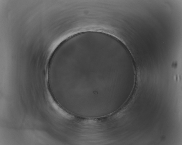 X0000111521515200907281326