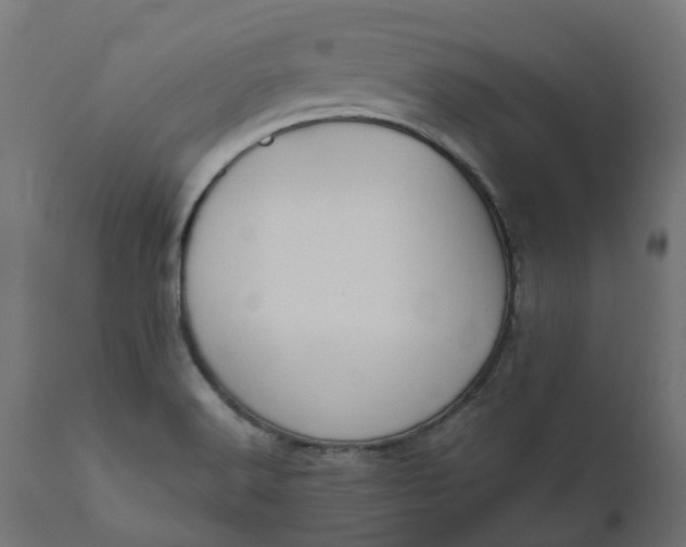 X0000111521516200907281326