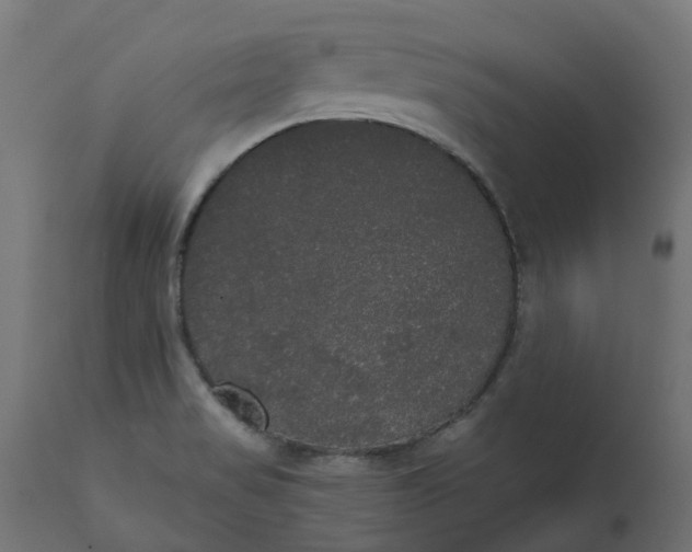 X0000111521517200907281326