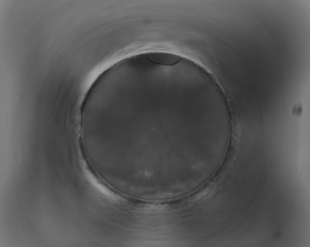 X0000111521519200907281326