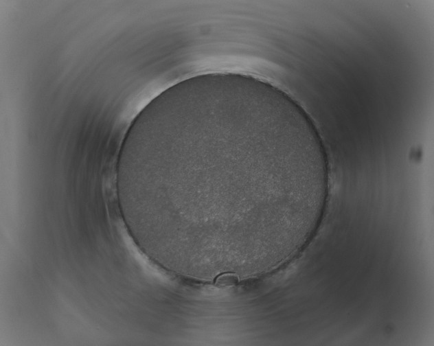 X0000111521521200907281326