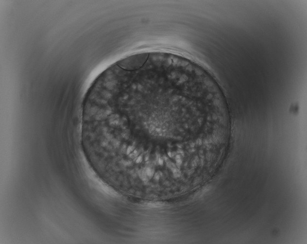 X0000111521522200907281326
