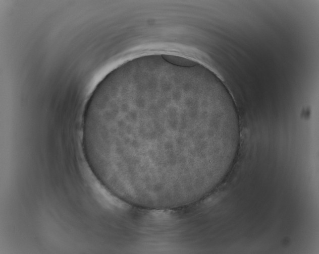 X0000111521523200907281326