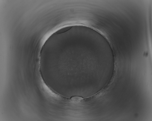 X0000111521524200907281326