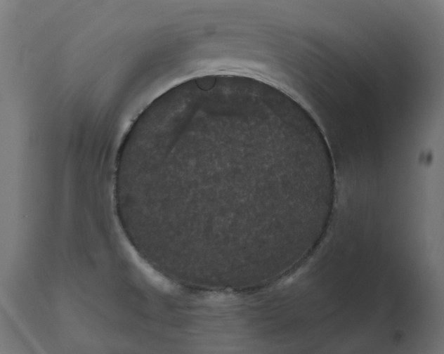 X0000111521525200907281326