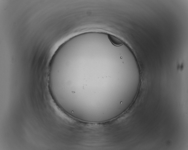 X0000111521526200907281326