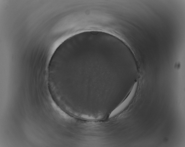 X0000111521527200907281326