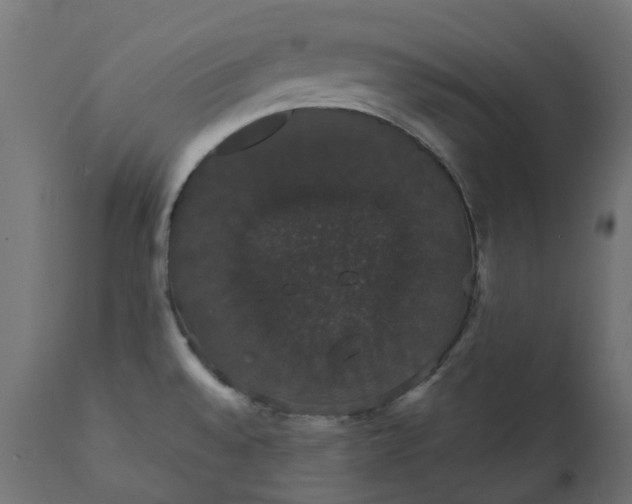 X0000111521528200907281326