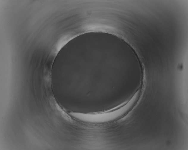 X0000111521529200907281326