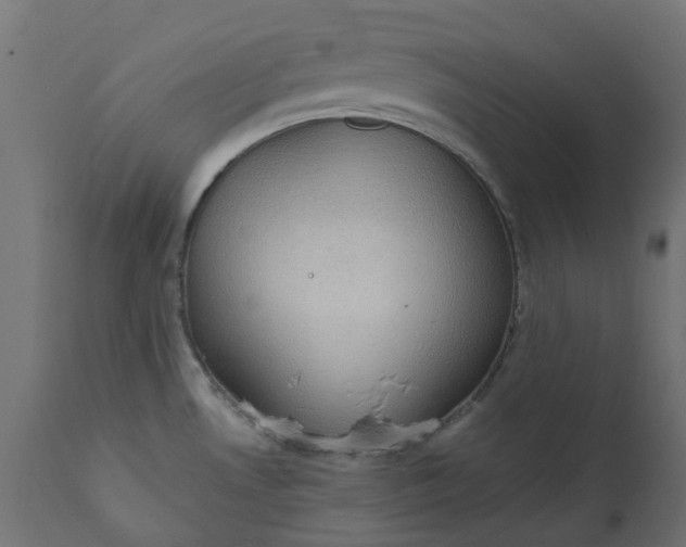 X0000111521530200907281326