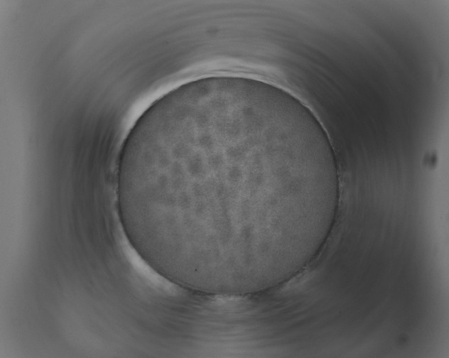 X0000111521531200907281326