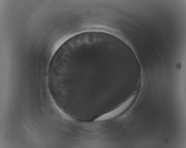 X0000111521533200907281326