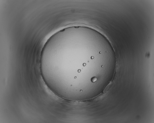 X0000111521534200907281326