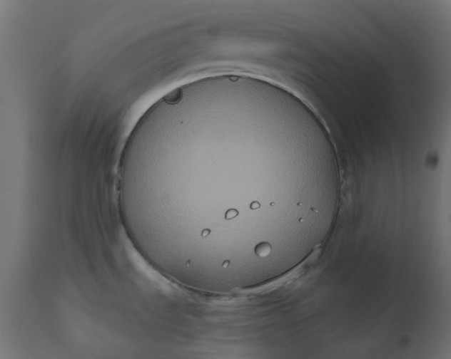X0000111521535200907281326