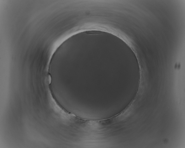 X0000111521536200907281326
