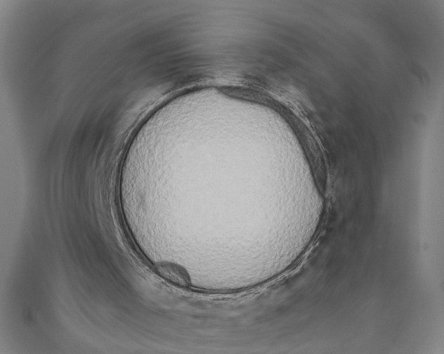 X0000111520001200908041253