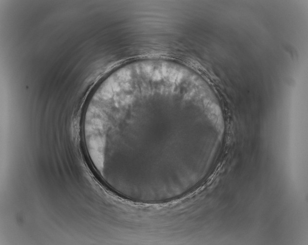 X0000111520002200908041253