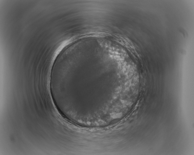 X0000111520003200908041253
