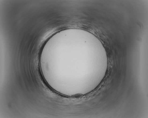 X0000111520005200908041253
