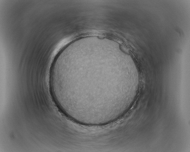 X0000111520006200908041253