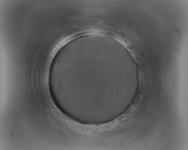 X0000111520007200908041253
