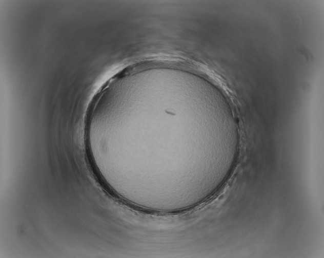 X0000111520008200908041253