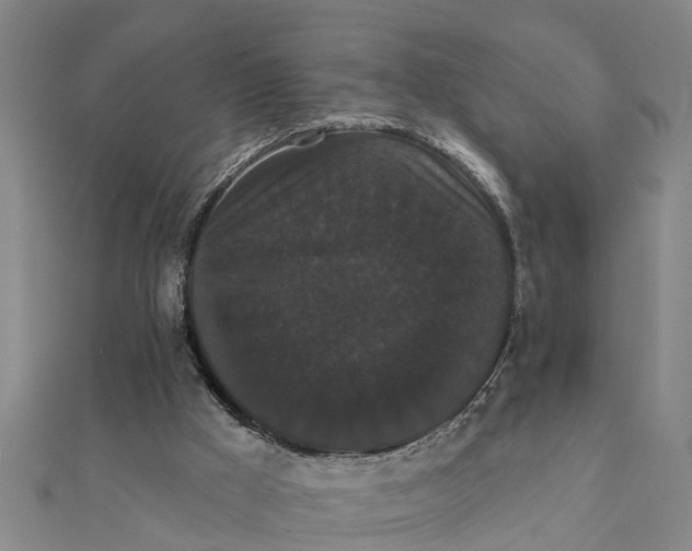X0000111520009200908041253