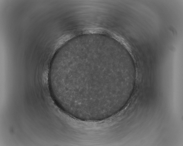 X0000111520010200908041253