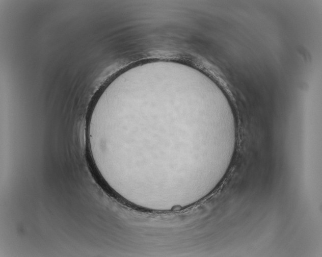 X0000111520011200908041253