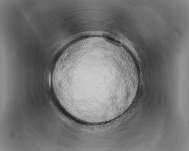 X0000111520013200908041253