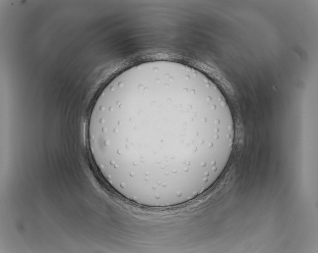 X0000111520014200908041253