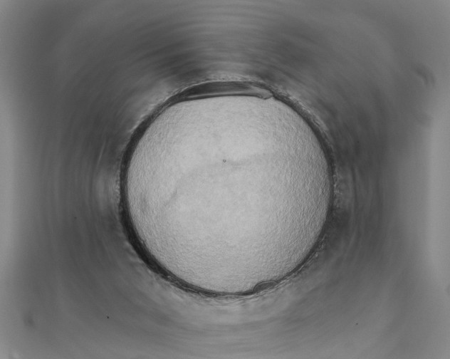 X0000111520015200908041253