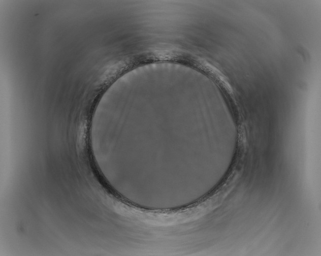 X0000111520018200908041253