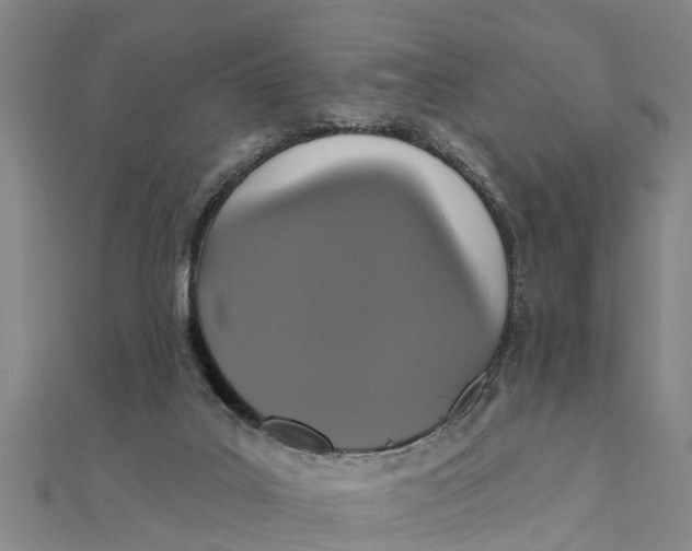 X0000111520019200908041253
