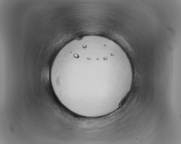 X0000111520021200908041253