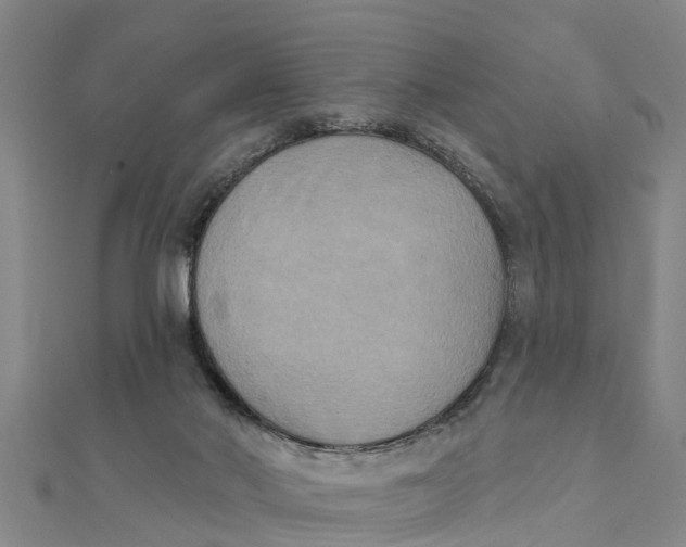 X0000111520022200908041253