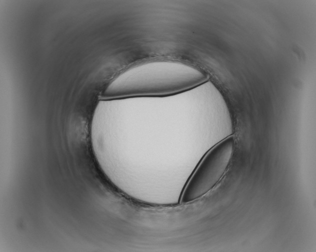 X0000111520025200908041253