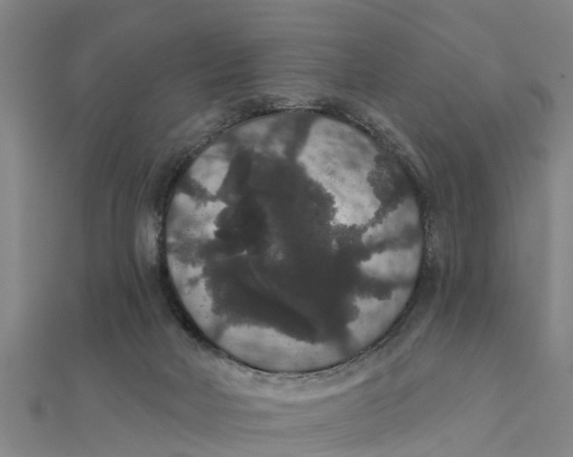 X0000111520026200908041253