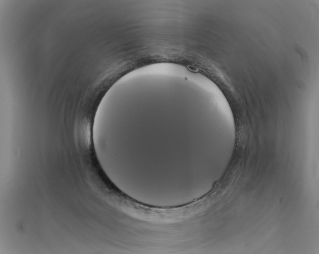 X0000111520027200908041253